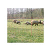 Rete per pecore KERBL - Ovinet elettrificabile - 14 pali - Altezza 90 cm - Lunghezza 50 m