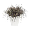 Vaso di fiori LU  40 centimetri Bianco