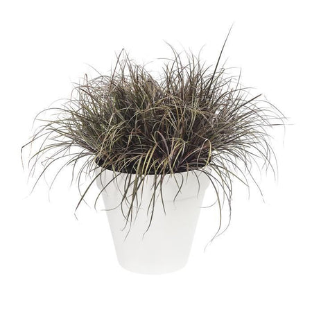 Vaso di fiori LU  40 centimetri Bianco