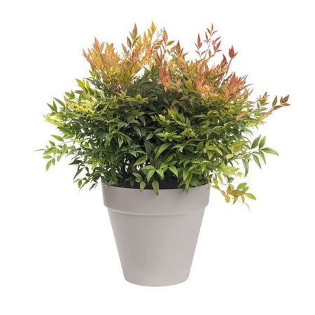 Vaso di fiori LU  40 cm