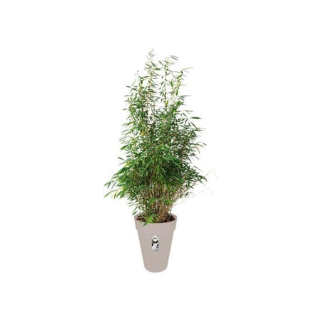 Vaso da fiori rotondo ELHO Loft Urban Tall 42 - Grigio -  42 x H 56 cm - da esterno