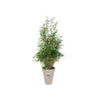Vaso da fiori rotondo ELHO Loft Urban Tall 42 - Grigio -  42 x H 56 cm - da esterno