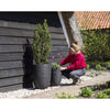 Vaso basso ed elegante - CAPI EUROPE - RIB NL - 46 x 58 cm - Nero