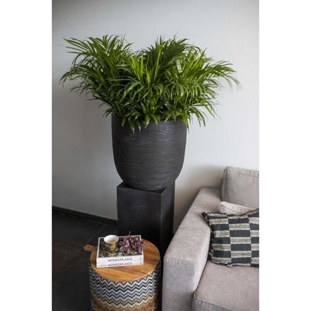 Capi Jardiniere Nature Rib 54 x 52 cm Nero KBLR935