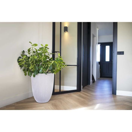 Vaso Capi Elegante Groove 46x58 cm Avorio 445499