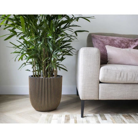 Capi Jardiniere Groove 43x41 cm nero e oro 445487