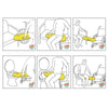 Assicella di trasferimento Buffalo 150 Allmobility ALL 03