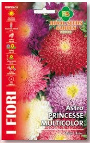 Astro Princesse Multicolor