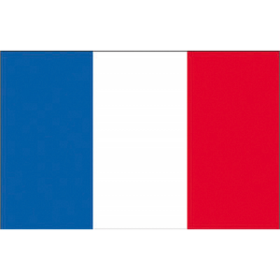 Bandiera Francia Cm.30X45