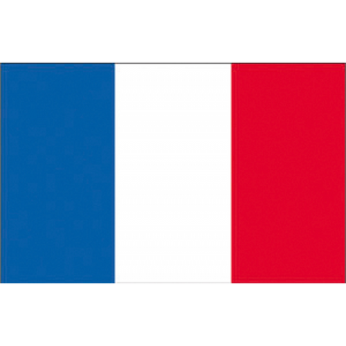Bandiera Francia Cm.80X120
