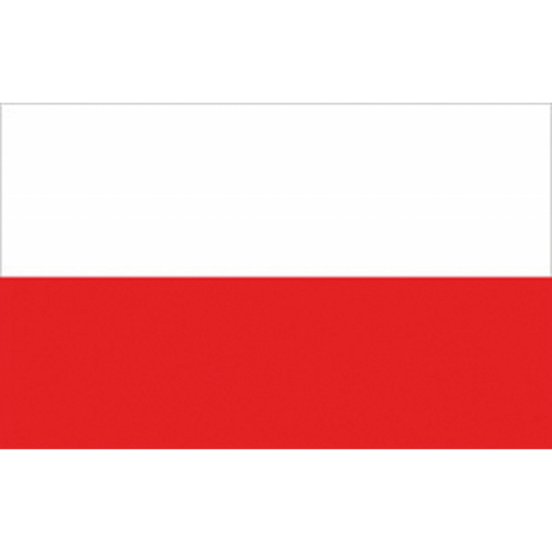 Bandiera Polonia Cm.30X45