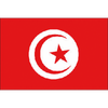 Bandiera Tunisia Cm.20X30