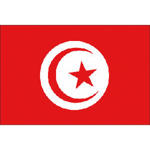 Bandiera Tunisia Cm.30X45