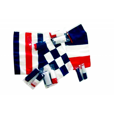 Bandiere Francia Regolamen.30X40