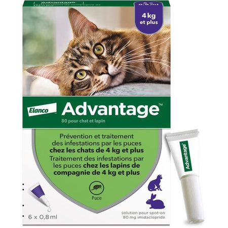 VANTAGGIO 80 - 6 pipette antiparassitarie - Per gatti e conigli da 4 kg e oltre