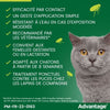 VANTAGGIO 80 - 6 pipette antiparassitarie - Per gatti e conigli da 4 kg e oltre