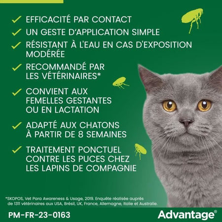 VANTAGGIO 80 - 6 pipette antiparassitarie - Per gatti e conigli da 4 kg e oltre