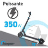 Scooter elettrico 8 pollici - BEEPER - Velocità FX8-G2-6 - 350W - 36V