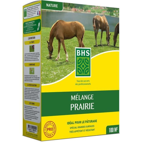 Prato - BHS - Meadow Mix 1kg  40m  Per grandi superfici e pascoli  Rapido da installare, durevole, non richiede manutenzione.