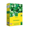 Dichondra - BHS - 300 g  25 m  Climi miti  Semi arricchiti con fertilizzante organico  Attecchimento rapido e uniforme.