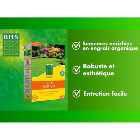 Prato - BHS - Prato rustico 1 KG - Più forte e meglio protetto - Veloce e durevole - Tutti i tipi di terreno e climi, robusto