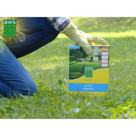Prato - BHS - Prato Ombra 1kg  40m  Resistente alla scarsa illuminazione e alle zone d'ombra.