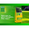 Erba inglese - BHS - 10 kg per giardini di alta gamma
