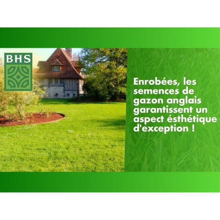 Erba inglese - BHS - 10 kg per giardini di alta gamma