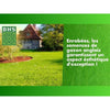 Erba inglese - BHS - 10 kg per giardini di alta gamma