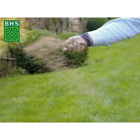 Erba rustica - BHS - Scatola da 3 kg - Resistente alle intemperie - Sole - Rosso
