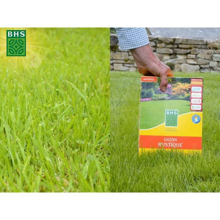 Erba rustica - BHS - Scatola da 3 kg - Resistente alle intemperie - Sole - Rosso