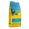 Prato - BHS - Seaside Lawn 10kg  Resistente al vento, alla siccità, alla salinità  Bellissimo prato estivo, estetico e robusto.