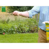 Prato - BHS - Seaside Lawn 10kg  Resistente al vento, alla siccità, alla salinità  Bellissimo prato estivo, estetico e robusto.