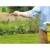 Prato - BHS - Rustic South Lawn - 3 kg - Resistente alla siccità grazie alla festuca alta. Veloce e coerente.