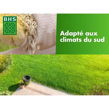 Prato - BHS - Rustic South Lawn - 10 kg - Resistente alla siccità grazie alla festuca alta. Veloce e coerente.