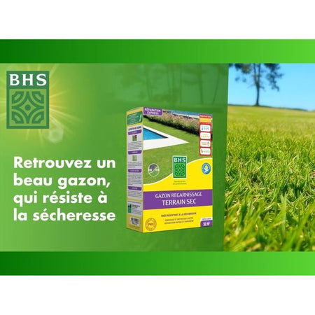Rigenerante per terreni asciutti - BHS - 1 kg  40 mq  Robusto e durevole, con eccellente resistenza e tolleranza al calpestio.