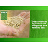 Rigenerante per terreni asciutti - BHS - 3 kg  150 mq  Robusto e durevole, con eccellente resistenza e tolleranza al calpestio.