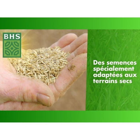 Rigenerante per terreni asciutti - BHS - 3 kg  150 mq  Robusto e durevole, con eccellente resistenza e tolleranza al calpestio.