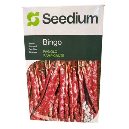 Fagiolo Rampicante Bingo Kg 1 Varietà Borlotto Olter