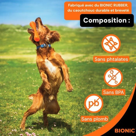 Giocattolo per cani - BIONIC - Urban stick - Taglia Media 23 cm - Realizzato in gomma ultraresistente - senza piombo, BPA e ftalati