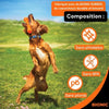 Giocattolo per cani - BIONIC - Urban stick - Taglia Media 23 cm - Realizzato in gomma ultraresistente - senza piombo, BPA e ftalati