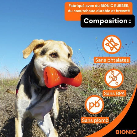 Giocattolo per cani - BIONIC - Osso - Taglia Media 12 cm - Gomma ultraresistente - senza piombo, BPA e ftalati