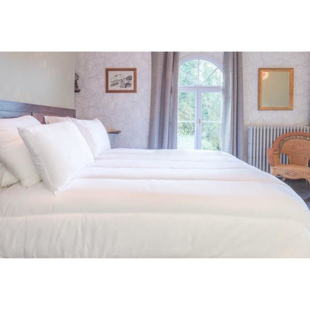 BLANREVE Piumino caldo in percalle - Anti-acari - 350g / m - 220x240cm