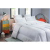 BLANREVE Piumino molto caldo in percalle - Anti-acari - 420g / m - 200x200cm