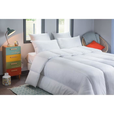 BLANREVE Piumino molto caldo in percalle - Anti-acari - 420g / m - 200x200cm