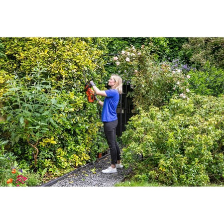 Tosasiepi a batteria