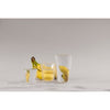 BODUM CANTEEN 10108-10-12
