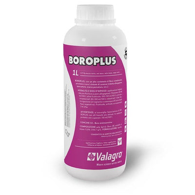 Boroplus Lt.1