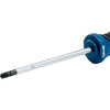 Cacciavite TX 25x100
