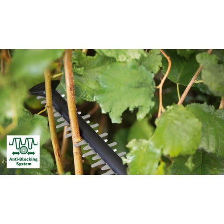 Taglio siepe avanzato 36V-65-28 NU